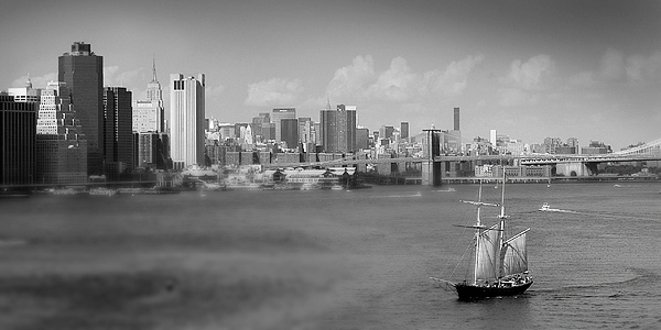 New York City by Scott Wills