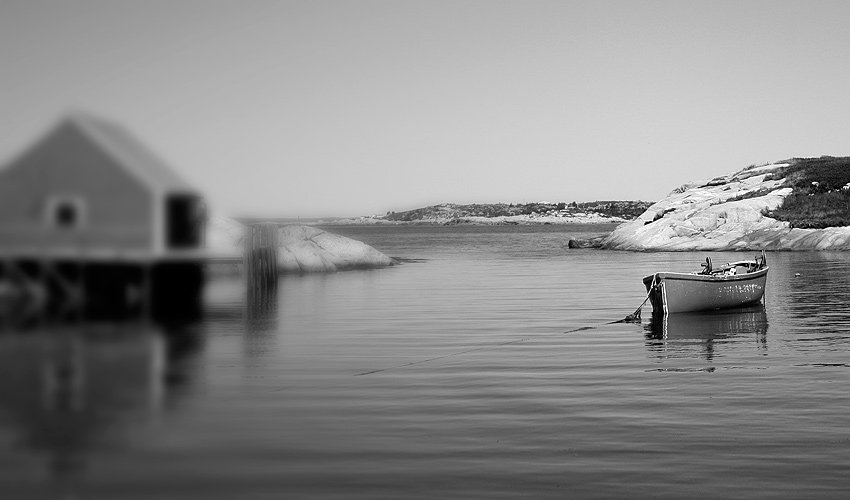 Photography by Scott Wills