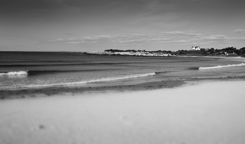 Photography by Scott Wills