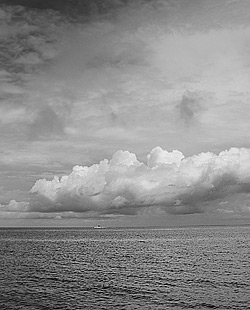 Blank Photo